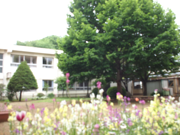 日本聾話学校